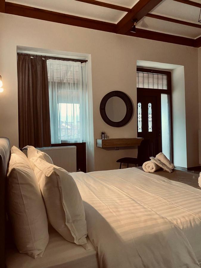 11 Luxury Apartments Metsovo Eksteriør billede