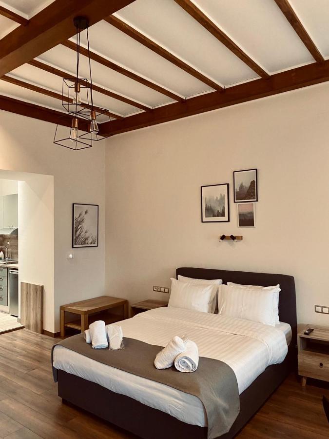11 Luxury Apartments Metsovo Eksteriør billede